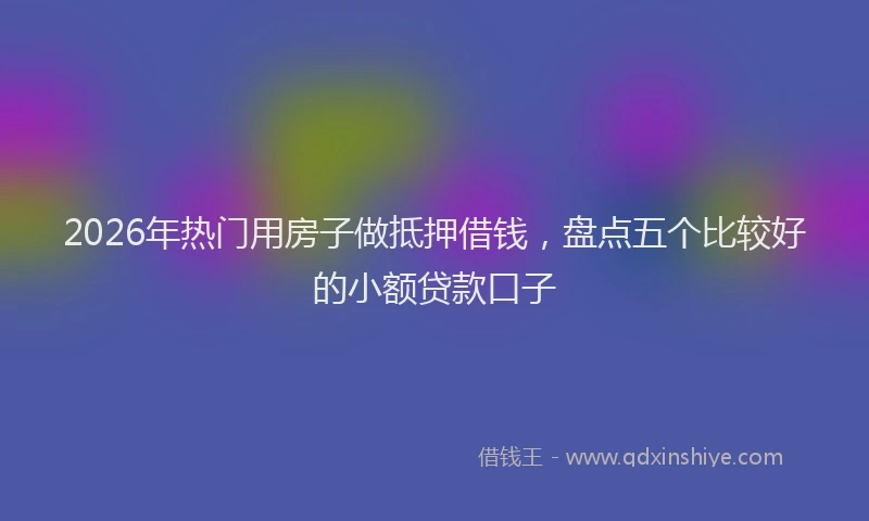2026年热门用房子做抵押借钱，盘点五个比较好的小额贷款口子