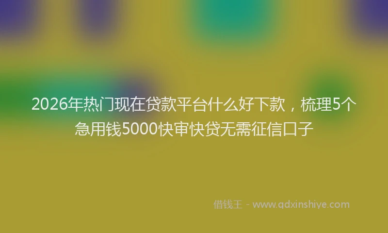2026年热门现在贷款平台什么好下款，梳理5个急用钱5000快审快贷无需征信口子
