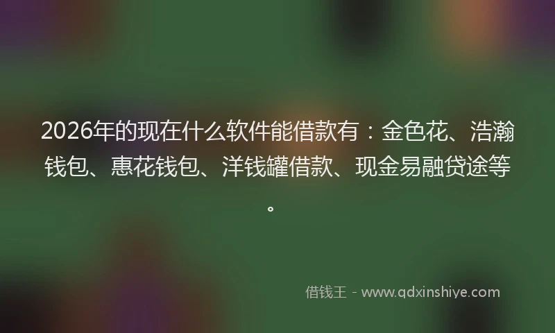 2026年的现在什么软件能借款有:金色花、浩瀚钱包、惠花钱包、洋钱罐借款、现金易融贷途等。