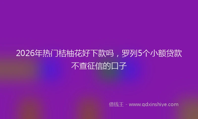2026年热门桔柚花好下款吗，罗列5个小额贷款不查征信的口子