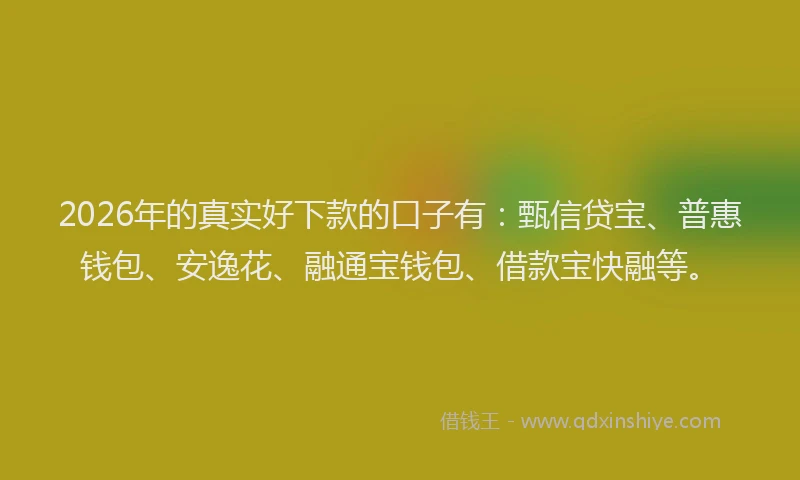 2026年的真实好下款的口子有：甄信贷宝、普惠钱包、安逸花、融通宝钱包、借款宝快融等。