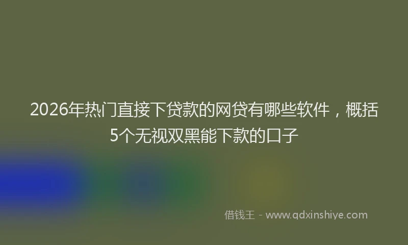 2026年热门直接下贷款的网贷有哪些软件，概括5个无视双黑能下款的口子