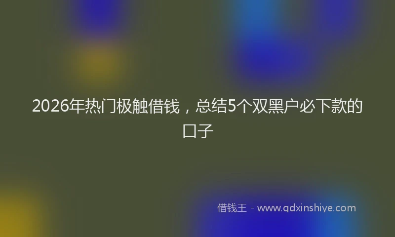 2026年热门极触借钱，总结5个双黑户必下款的口子