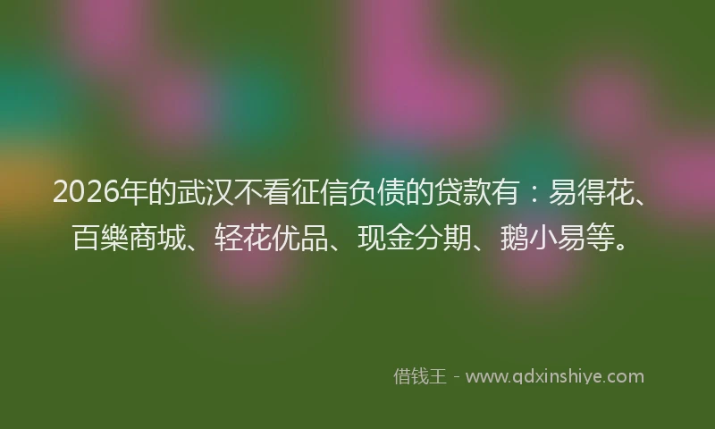 2026年的武汉不看征信负债的贷款有：易得花、百樂商城、轻花优品、现金分期、鹅小易等。