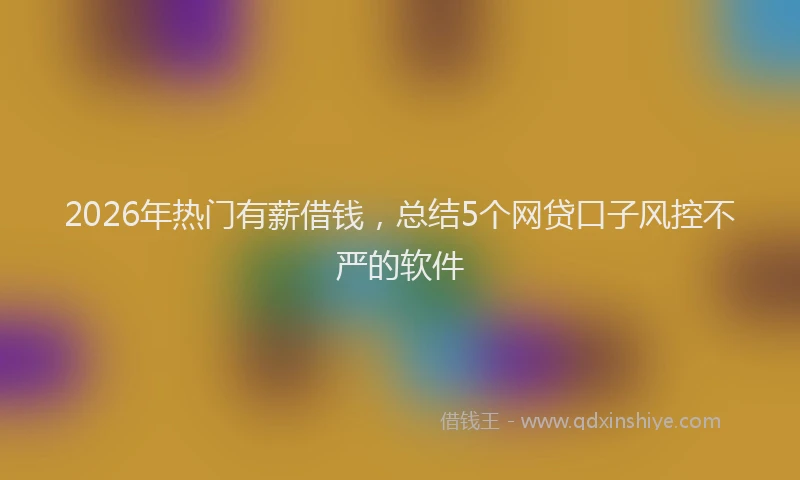 2026年热门有薪借钱，总结5个网贷口子风控不严的软件