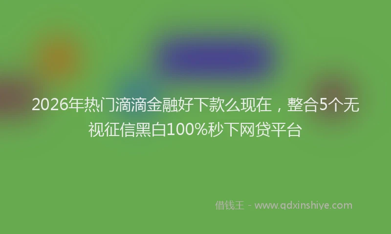 2026年热门滴滴金融好下款么现在，整合5个无视征信黑白100%秒下网贷平台