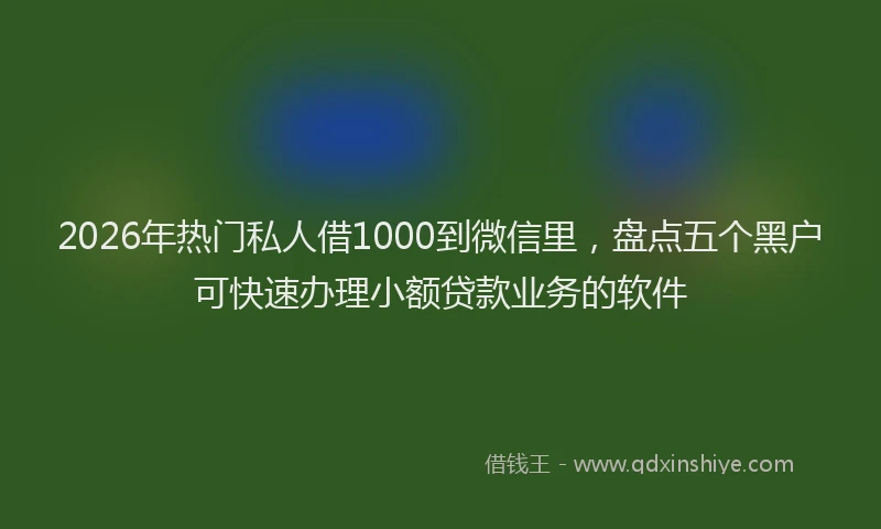 2026年热门私人借1000到微信里，盘点五个黑户可快速办理小额贷款业务的软件