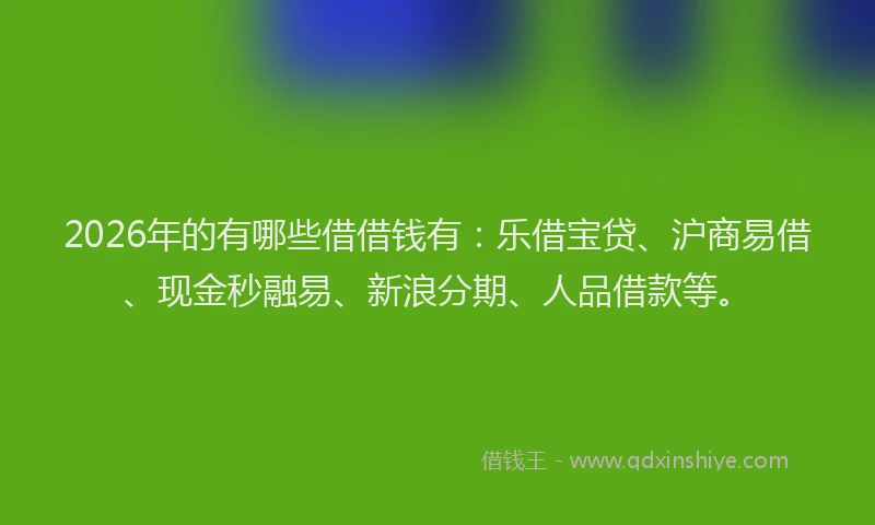 2026年的有哪些借借钱有：乐借宝贷、沪商易借、现金秒融易、新浪分期、人品借款等。