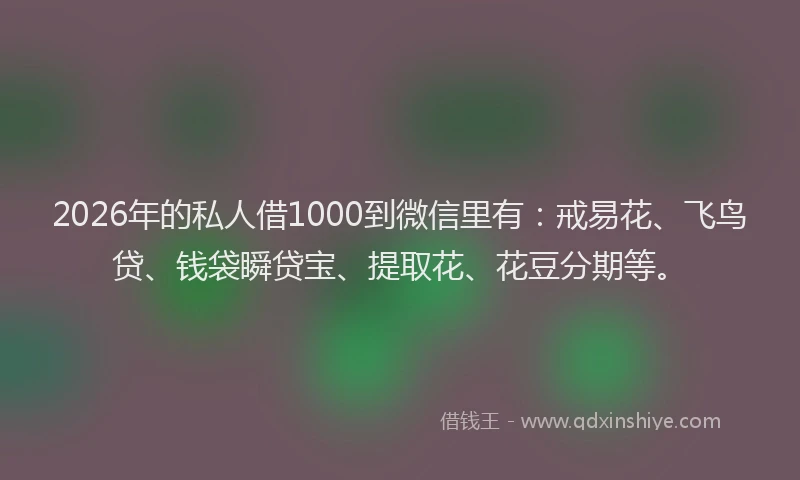 2026年的私人借1000到微信里有：戒易花、飞鸟贷、钱袋瞬贷宝、提取花、花豆分期等。