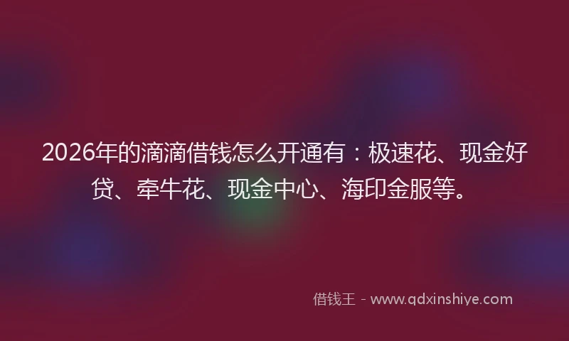 2026年的滴滴借钱怎么开通有：极速花、现金好贷、牵牛花、现金中心、海印金服等。
