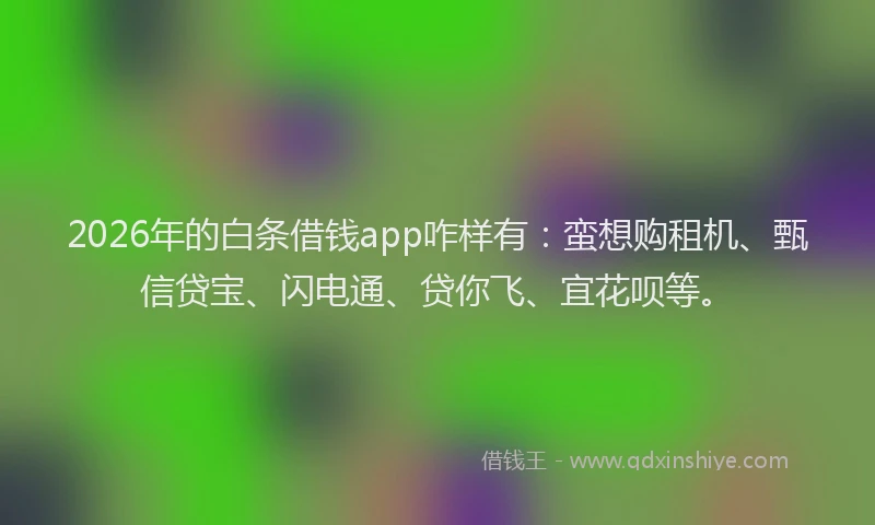 2026年的白条借钱app咋样有：蛮想购租机、甄信贷宝、闪电通、贷你飞、宜花呗等。