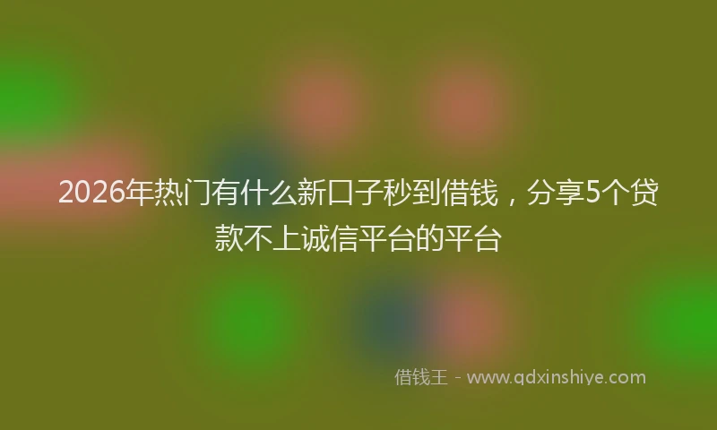 2026年热门有什么新口子秒到借钱，分享5个贷款不上诚信平台的平台
