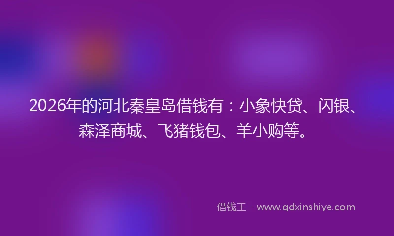 2026年的河北秦皇岛借钱有：小象快贷、闪银、森泽商城、飞猪钱包、羊小购等。