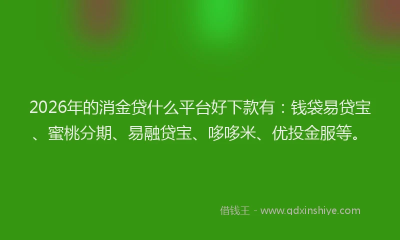 2026年的消金贷什么平台好下款有：钱袋易贷宝、蜜桃分期、易融贷宝、哆哆米、优投金服等。