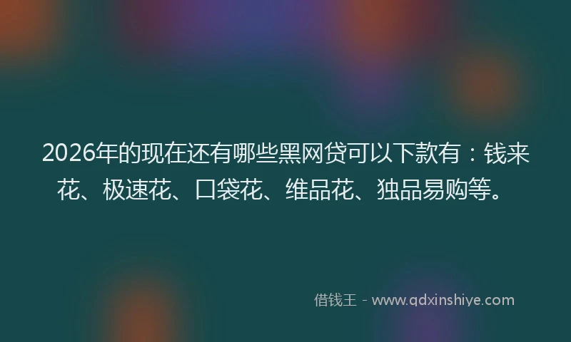 2026年的现在还有哪些黑网贷可以下款有：钱来花、极速花、口袋花、维品花、独品易购等。