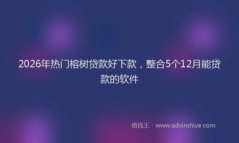 2026年热门榕树贷款好下款，整合5个12月能贷款的软件