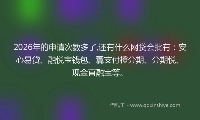 2026年的申请次数多了,还有什么网贷会批有:安心易贷、融悦宝钱包、翼支付橙分期、分期悦、现金直融宝等。