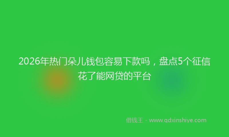 2026年热门朵儿钱包容易下款吗，盘点5个征信花了能网贷的平台