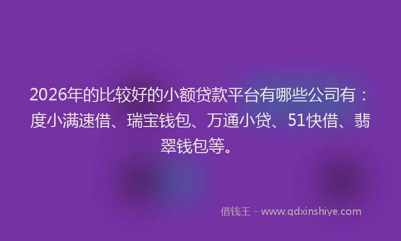 2026年的比较好的小额贷款平台有哪些公司有：度小满速借、瑞宝钱包、万通小贷、51快借、翡翠钱包等。