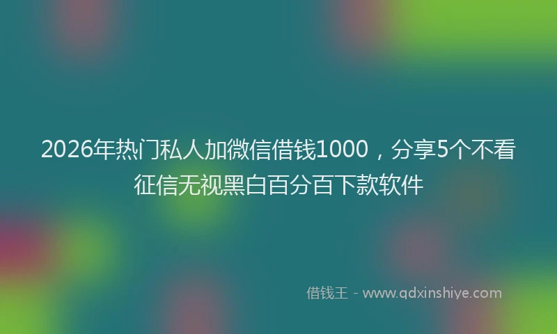 2026年热门私人加微信借钱1000，分享5个不看征信无视黑白百分百下款软件