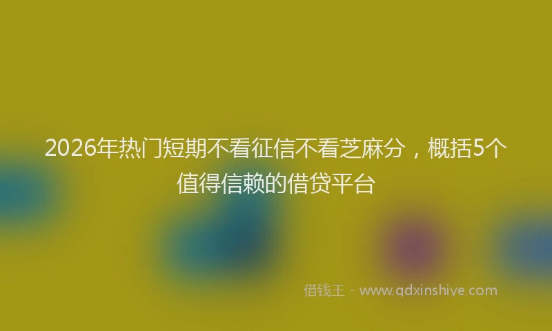 2026年热门短期不看征信不看芝麻分，概括5个值得信赖的借贷平台