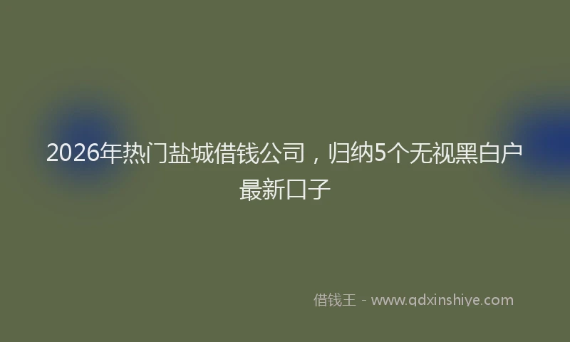 2026年热门盐城借钱公司，归纳5个无视黑白户最新口子