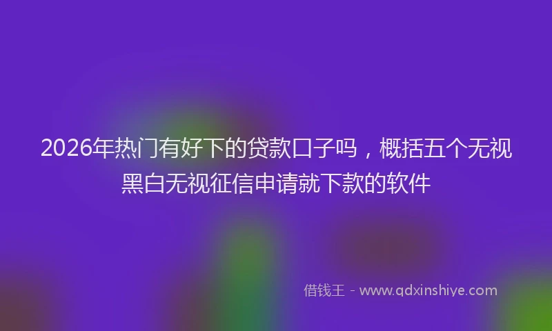2026年热门有好下的贷款口子吗，概括五个无视黑白无视征信申请就下款的软件