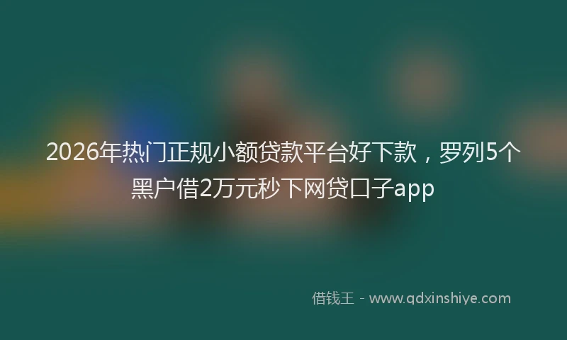 2026年热门正规小额贷款平台好下款，罗列5个黑户借2万元秒下网贷口子app