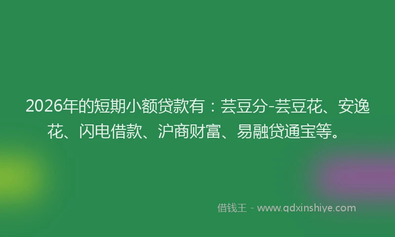 2026年的短期小额贷款有：芸豆分-芸豆花、安逸花、闪电借款、沪商财富、易融贷通宝等。