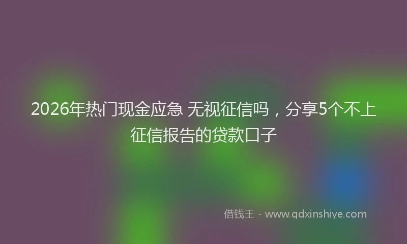 2026年热门现金应急 无视征信吗，分享5个不上征信报告的贷款口子