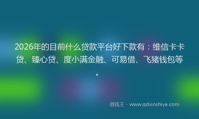 2026年的目前什么贷款平台好下款有：维信卡卡贷、臻心贷、度小满金融、可易借、飞猪钱包等。
