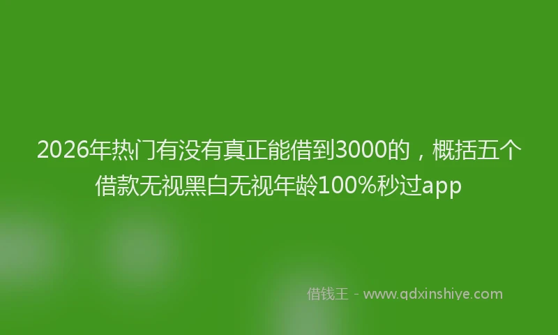 2026年热门有没有真正能借到3000的，概括五个借款无视黑白无视年龄100%秒过app