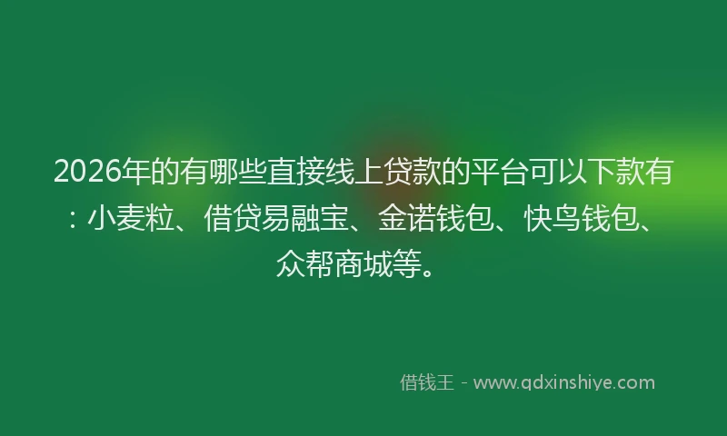2026年的有哪些直接线上贷款的平台可以下款有：小麦粒、借贷易融宝、金诺钱包、快鸟钱包、众帮商城等。