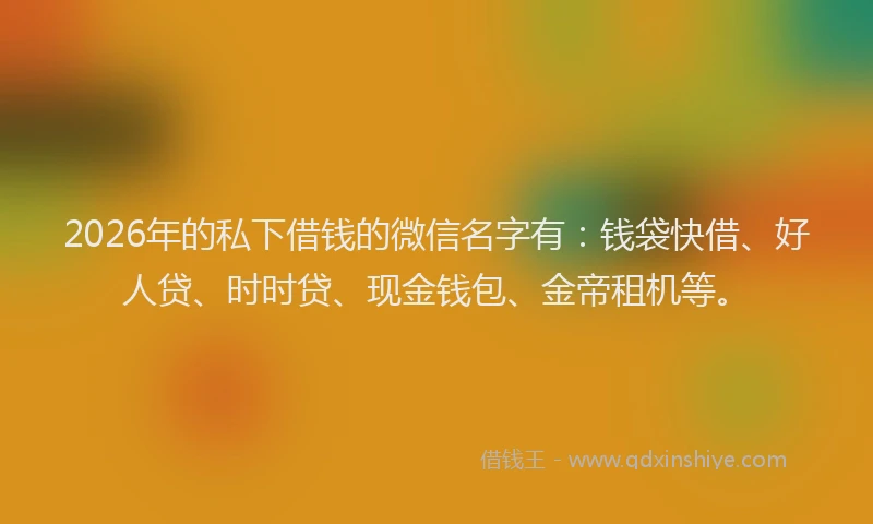 2026年的私下借钱的微信名字有：钱袋快借、好人贷、时时贷、现金钱包、金帝租机等。