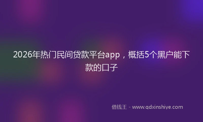 2026年热门民间贷款平台app，概括5个黑户能下款的口子