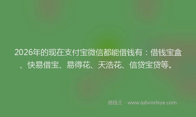 2026年的现在支付宝微信都能借钱有：借钱宝盒、快易借宝、易得花、天浩花、信贷宝贷等。