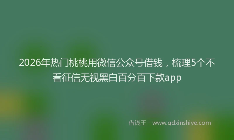 2026年热门桃桃用微信公众号借钱，梳理5个不看征信无视黑白百分百下款app