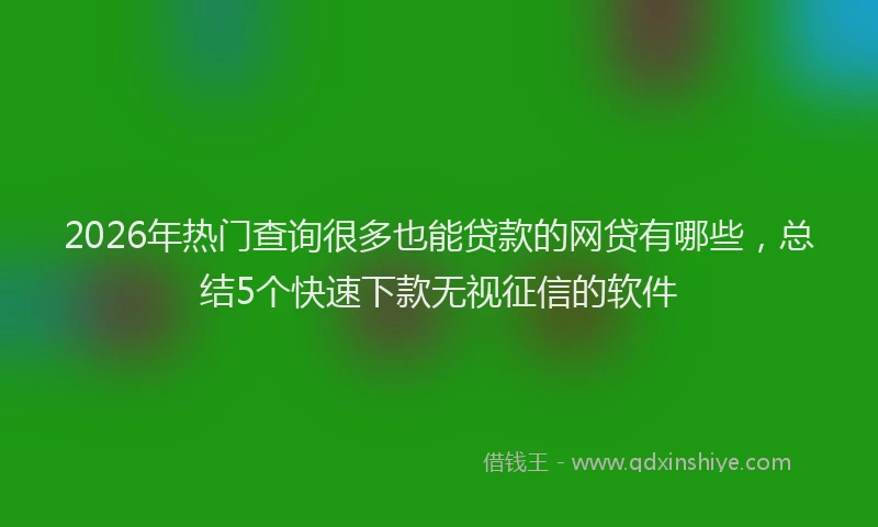 2026年热门查询很多也能贷款的网贷有哪些，总结5个快速下款无视征信的软件