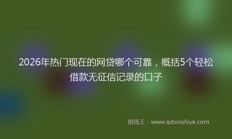 2026年热门现在的网贷哪个可靠,概括5个轻松借款无征信记录的口子