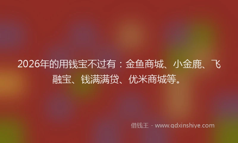 2026年的用钱宝不过有：金鱼商城、小金鹿、飞融宝、钱满满贷、优米商城等。