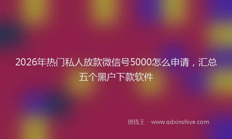 2026年热门私人放款微信号5000怎么申请，汇总五个黑户下款软件