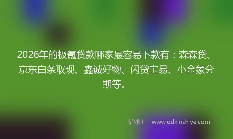 2026年的极氪贷款哪家最容易下款有：森森贷、京东白条取现、鑫诚好物、闪贷宝易、小金象分期等。