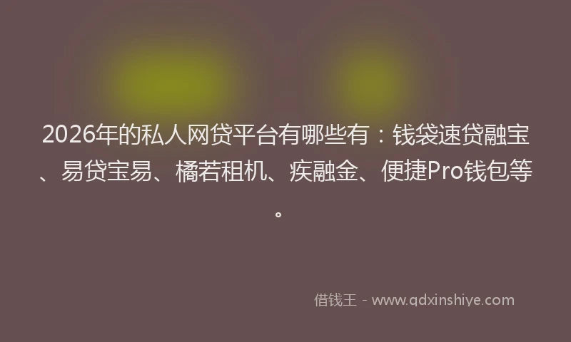 2026年的私人网贷平台有哪些有：钱袋速贷融宝、易贷宝易、橘若租机、疾融金、便捷Pro钱包等。