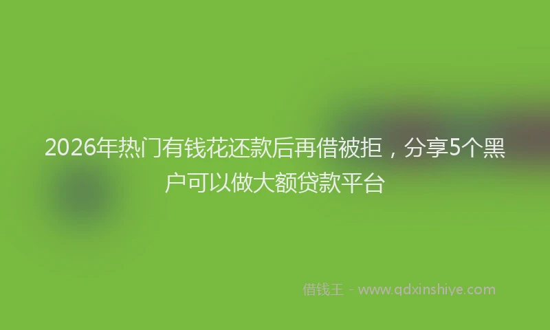 2026年热门有钱花还款后再借被拒，分享5个黑户可以做大额贷款平台