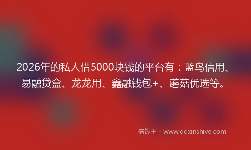 2026年的私人借5000块钱的平台有：蓝鸟信用、易融贷盒、龙龙用、鑫融钱包+、蘑菇优选等。