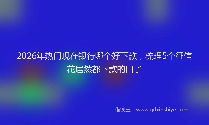2026年热门现在银行哪个好下款，梳理5个征信花居然都下款的口子