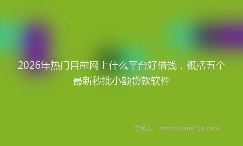 2026年热门目前网上什么平台好借钱，概括五个最新秒批小额贷款软件