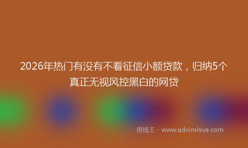 2026年热门有没有不看征信小额贷款，归纳5个真正无视风控黑白的网贷