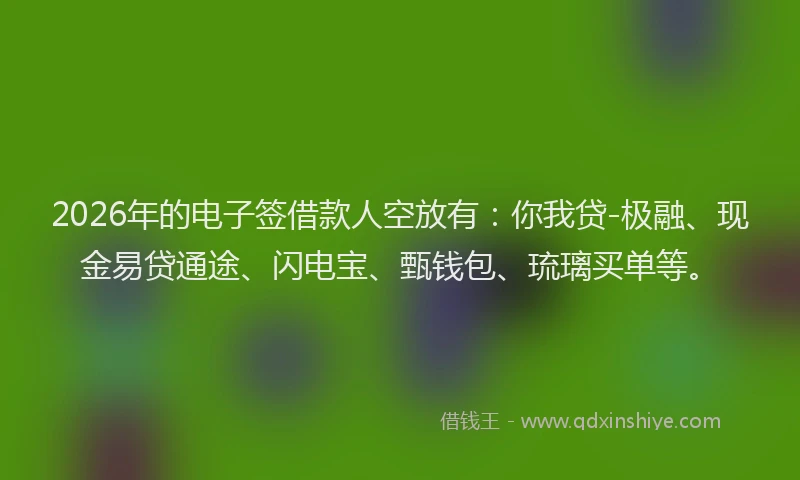2026年的电子签借款人空放有：你我贷-极融、现金易贷通途、闪电宝、甄钱包、琉璃买单等。