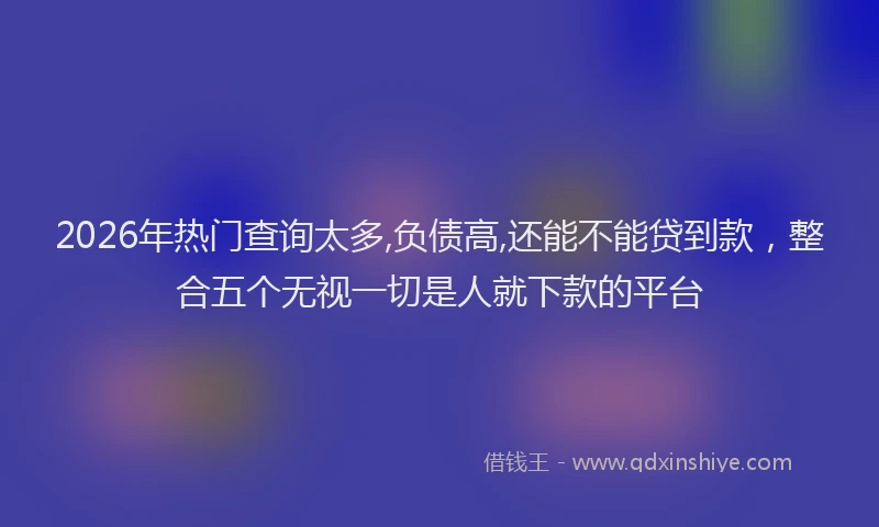 2026年热门查询太多,负债高,还能不能贷到款，整合五个无视一切是人就下款的平台